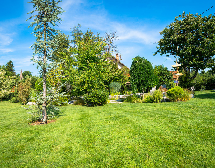 Gartenpflege in Berlin – Haus und Baum Seeliger