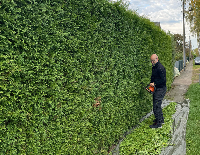 Heckenschnitt in Berlin – Haus und Baum Seeliger