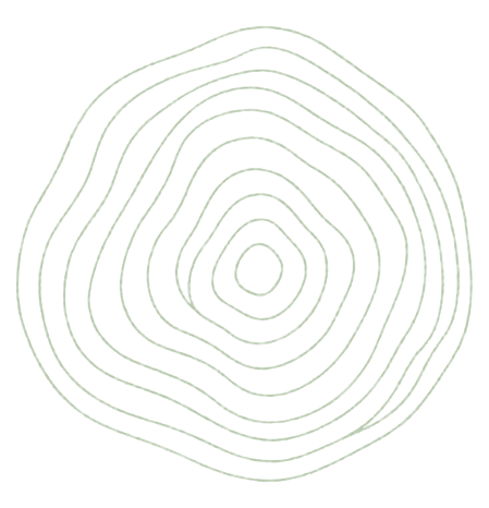 baumring